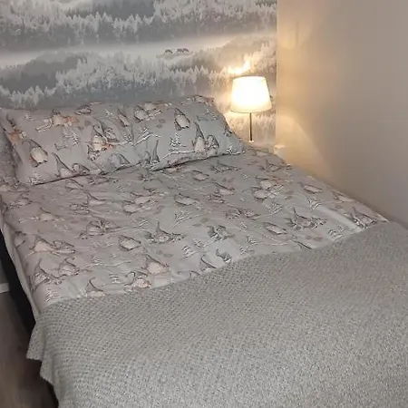 Lapland Winter Apartment Rovaniemi