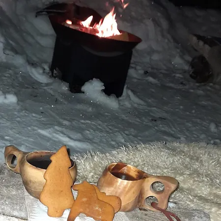 Lapland Winter * 罗瓦涅米