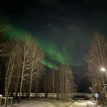 Lapland Winter * 罗瓦涅米