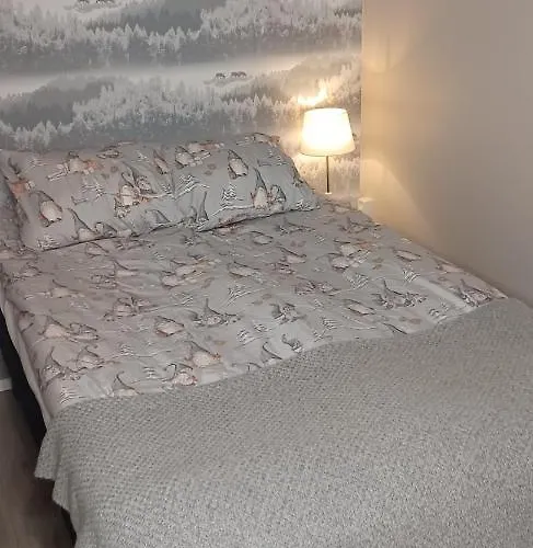 Lapland Winter Апартаменты Рованиеми