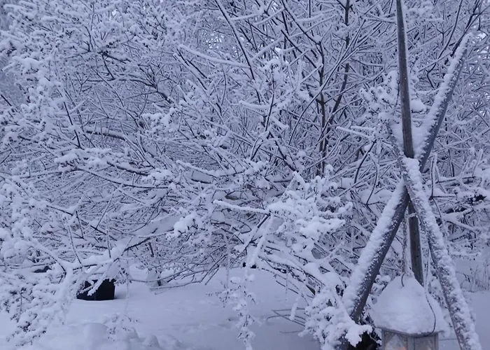 Апартаменты Lapland Winter Рованиеми